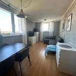 Rent 2 bedroom apartment of 43 m² in Poznan