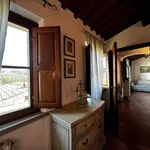 Rent 2 bedroom apartment of 50 m² in Scandicci