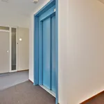 Rent 3 bedroom apartment of 88 m² in Zeelst