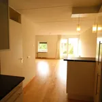 Rent 3 bedroom house of 130 m² in Ermelo