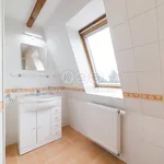 Rent 3 bedroom apartment of 81 m² in Plzeň