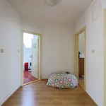 Pronajměte si 1 ložnic/e dům o rozloze 134 m² v Karlovarský kraj