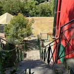 Rent 2 bedroom apartment of 50 m² in Perugia