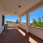 Rent 3 bedroom apartment of 80 m² in Catanzaro