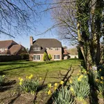 Rent 5 bedroom house in South East England