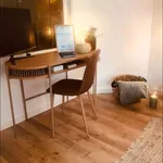 Rent 1 bedroom apartment in Antwerpen