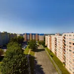 Rent 2 bedroom apartment of 44 m² in Olsztyn