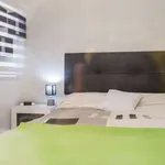 Rent 1 bedroom apartment in madrid