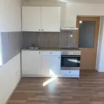 Rent 1 bedroom apartment in Děčín