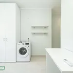 Rent 1 bedroom apartment of 30 m² in Milan