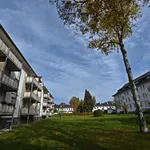 Rent 2 bedroom apartment of 54 m² in Chemnitz