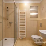 Rent 1 bedroom apartment of 39 m² in Capital City of Prague