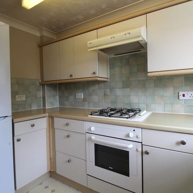 Terraced house to rent in Fritillary Close, Ipswich, Suffolk IP8 Chantry