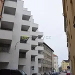 Rent 1 bedroom apartment of 48 m² in Brno