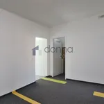 Pronajměte si 3 ložnic/e byt o rozloze 91 m² v Prague