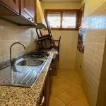 Rent 4 bedroom apartment of 104 m² in Perugia