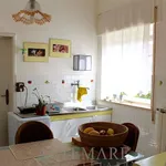 Single family villa via salesiani, 12, Pietrasanta