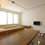 Rent 1 bedroom apartment in Brno