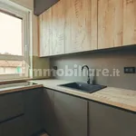 Rent 3 bedroom apartment of 110 m² in Turin