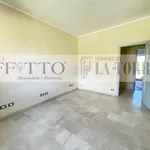 Affitto 4 camera appartamento di 100 m² in Alessandria