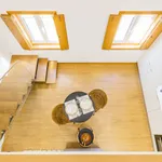 Rent 1 bedroom apartment of 60 m² in Porto