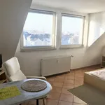 Rent 1 bedroom house of 25 m² in Cologne