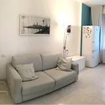 Via Pellizza da Volpedo, Milan - Amsterdam Apartments for Rent