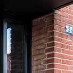 Rent 1 bedroom apartment in Zwijndrecht