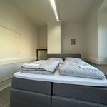 Rent 2 bedroom apartment of 60 m² in Karlsruhe
