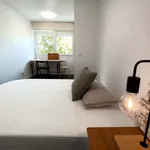 Rent a room of 120 m² in Madrid