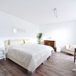 Rent 3 bedroom apartment of 65 m² in Bonn