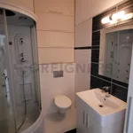 Rent 1 bedroom apartment of 27 m² in Brno