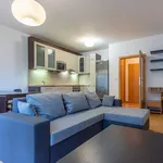 Rent 3 bedroom apartment of 76 m² in Prague