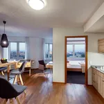 Rent 1 bedroom apartment of 62 m² in Frankfurt