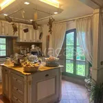 Rent 9 bedroom house of 300 m² in Figline e Incisa Valdarno