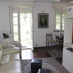 Rent 3 bedroom apartment of 60 m² in Lucca