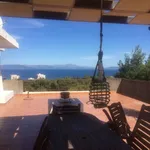 Rent 2 bedroom apartment of 100 m² in Rafina Municipal Unit