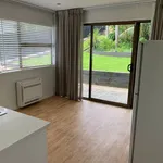 Rent 2 bedroom apartment in Auckland