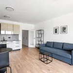 Rent 1 bedroom apartment of 42 m² in Prague