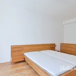 Rent 3 bedroom apartment in Brno