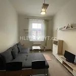 Rent 1 bedroom apartment of 25 m² in Capital City of Prague