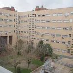 Rent a room in madrid