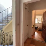 Rent 1 bedroom apartment of 60 m² in florence