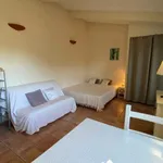 Rent 1 bedroom apartment of 36 m² in Marseille