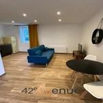 Rent 1 bedroom apartment in Saint-Étienne