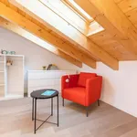 Rent 2 bedroom apartment of 40 m² in Milano