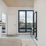 Rent a room of 143 m² in berlin