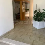 Rent 2 bedroom apartment of 50 m² in Viareggio