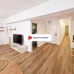 Alquilo 3 dormitorio apartamento de 130 m² en Alicante