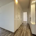 Rent 1 bedroom apartment of 45 m² in Székesfehérvár